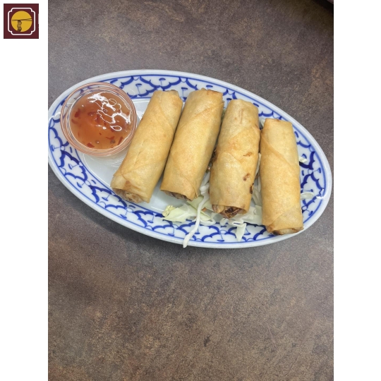 Fried Spring Rolls